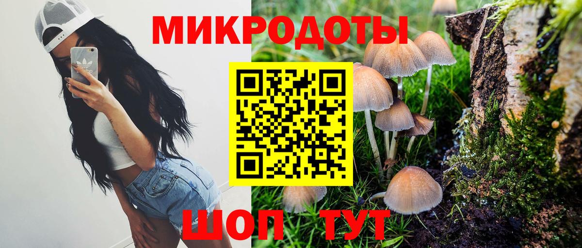 Галлюциногенные грибы прущие грибы  Вход с VPN  Приморско-Ахтарск  Галлюциногенные грибы мицелий 